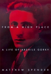 From a High Place: A Life of Arshile Gorky (Matthew Spender)