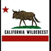 California Wildebeest