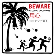 Bali Coconut Dropping