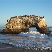 Natural Bridges State Beach, California