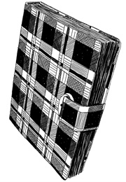 יומנה של נערה (אנה פרנק)