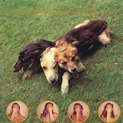 The World of Skin - Ten Songs for Another World