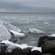 Sea Covered With Ice