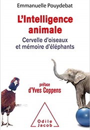 L&#39;intelligence Animale (Emmanuelle Pouydebat)