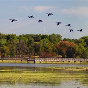 John Heinz National Wildlife Refuge at Tinicum