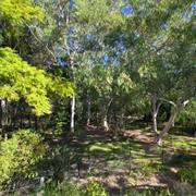 Nairana National Park (QLD)