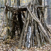 Build a Fort in the Backyard Woods