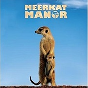 Meerkat Manor