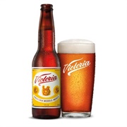 Victoria  Beer