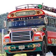 Chicken Bus, Latin America