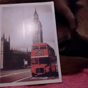 Grover, North Carolina