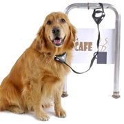 You Lock It in Your Garage