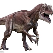 Know 12 Dinosaur Names