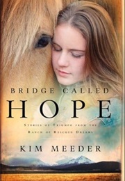 Bridge Called Hope (Kim Meeder)