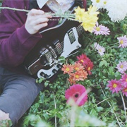 Regalos Del Sosiego – Ignacio Del Pórtico (2015)