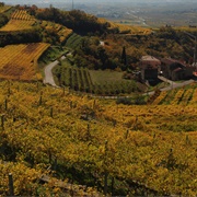 Valpolicella