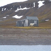 Barents Island