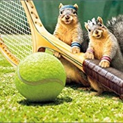 Play Tennis