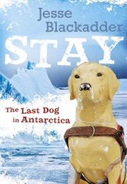 Stay (Jesse Blackadder)