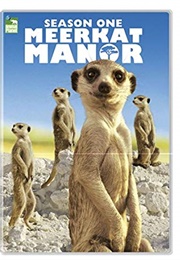 Meerkat Manor Season 1 (2006)