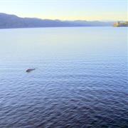 Hunt the Lochness Monster