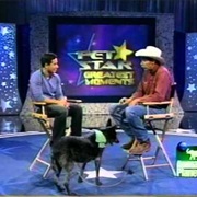 Pet Star