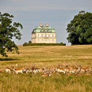 Dyrehaven, Klampenborg