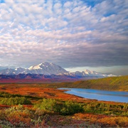 Denali National Park, USA