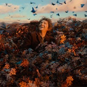 The Hobbit: The Desolation of Smaug