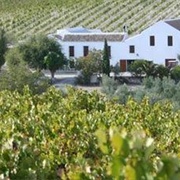 Montilla Wine Region