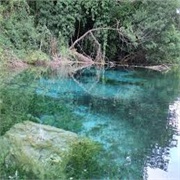 Galicica National Park