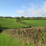 Chilterns Area of Outstanding Natural Beauty