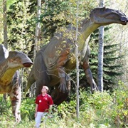 Jurassic Forest