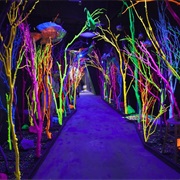 Meow Wolf, Santa Fe, NM