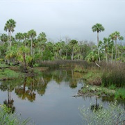 Lower Suwannee National Wildlife Refuge