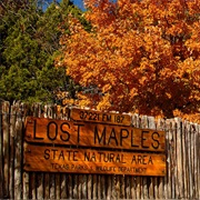 Lost Maples State Natural Area