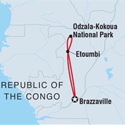 Republic of Congo Expedition Gorilla Trek