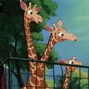 Giraffes