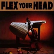 Flex Your Head (1982)