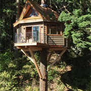 Had a Treehouse
