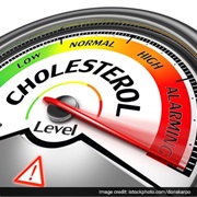 High Cholesterol