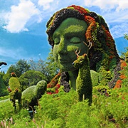 Visit a Botanical Garden