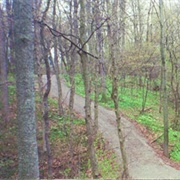 Lost Dauphin State Park, Wisconsin