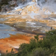 Orakei Karako Geothermal Park