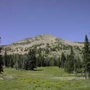Malheur National Forest