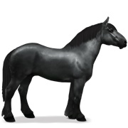 Percheron - Black