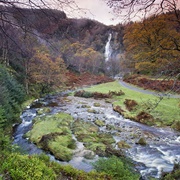 Powerscourt Waterfall, Ireland