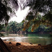 Tiwai Island Wildlife Sanctuary, Sierra Leone