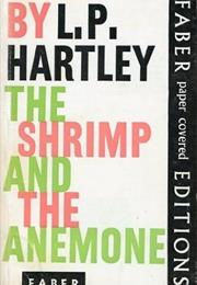 The Shrimp and the Anemone