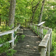 Kilen Woods State Park, Minnesota
